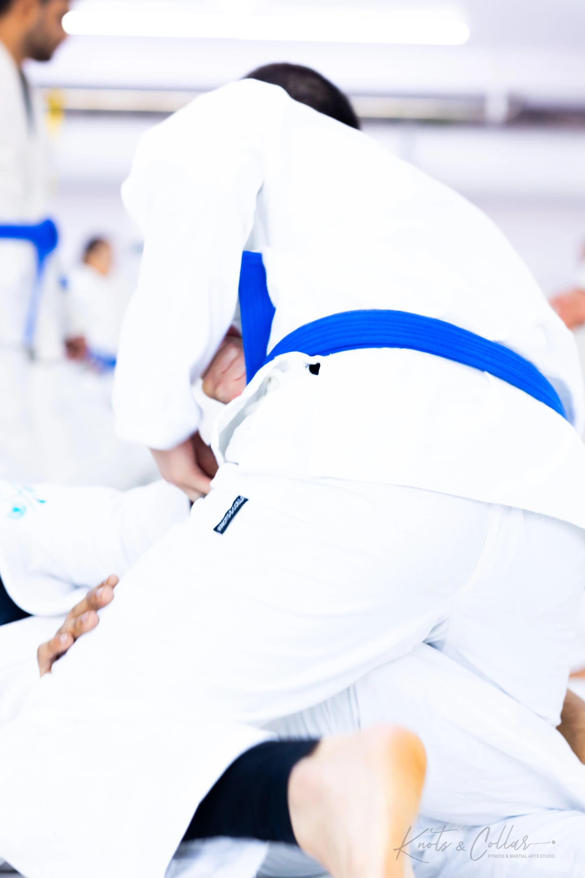 Knots &amp; Collar Minimalist BJJ Gi – From Bharat to the World