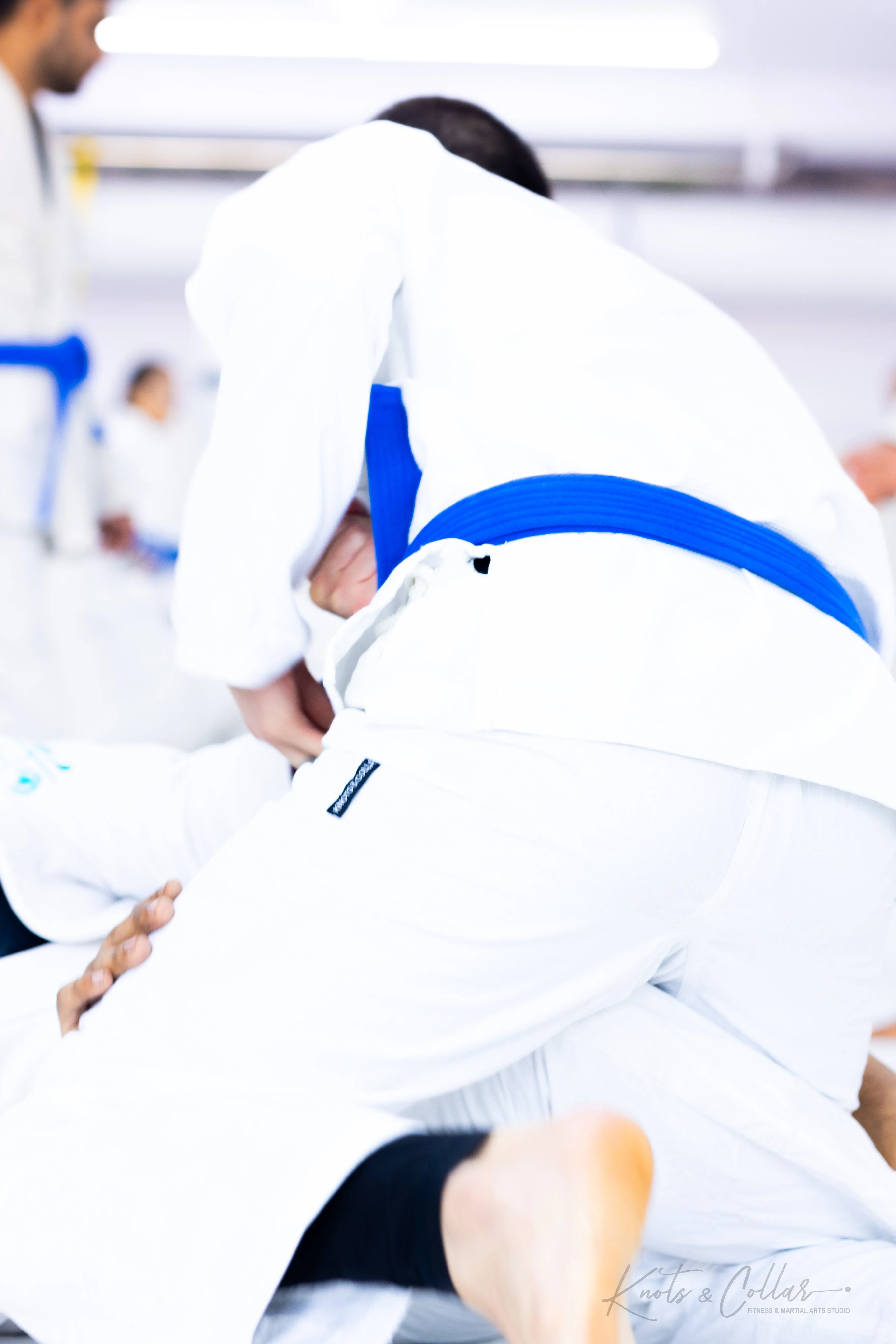 Knots &amp; Collar Minimalist BJJ Gi – From Bharat to the World