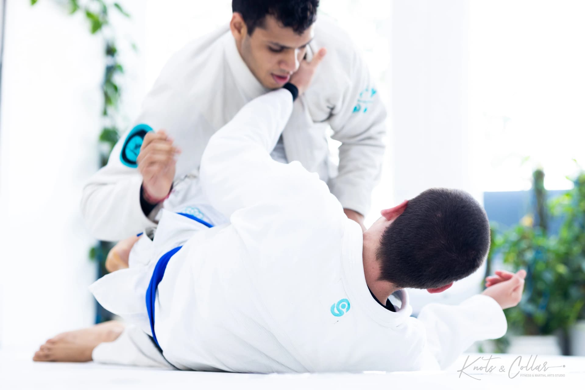 Live BJJ rolling session showing the cardio demands of jiu-jitsu training